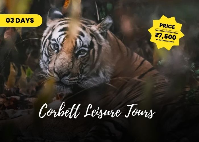 corbett tour