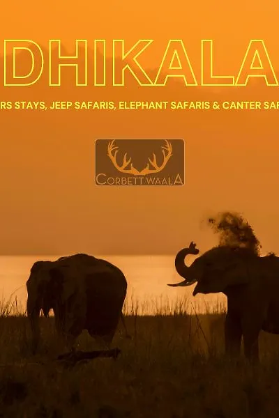 Dhikala-zone-corbett-waala