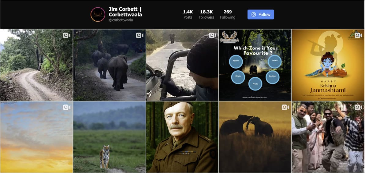 corbett jungle safari