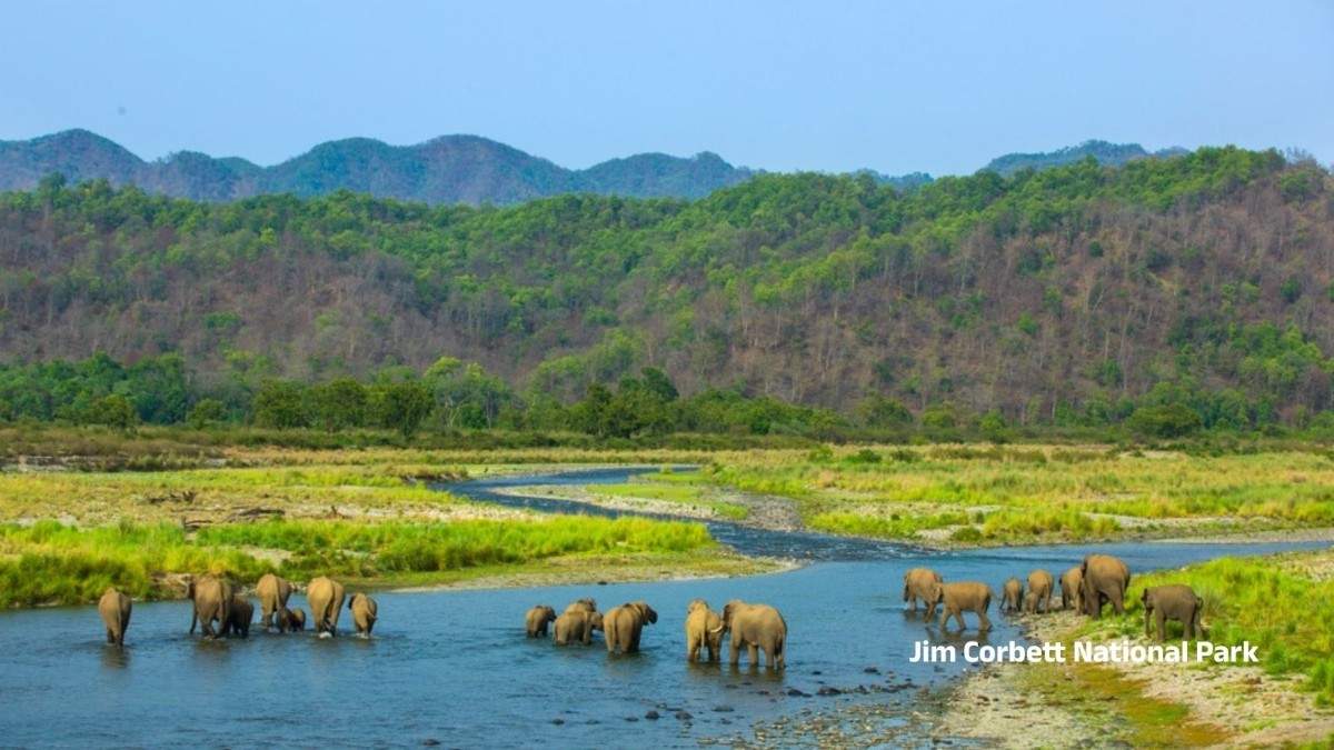 Dhela Zone Safari