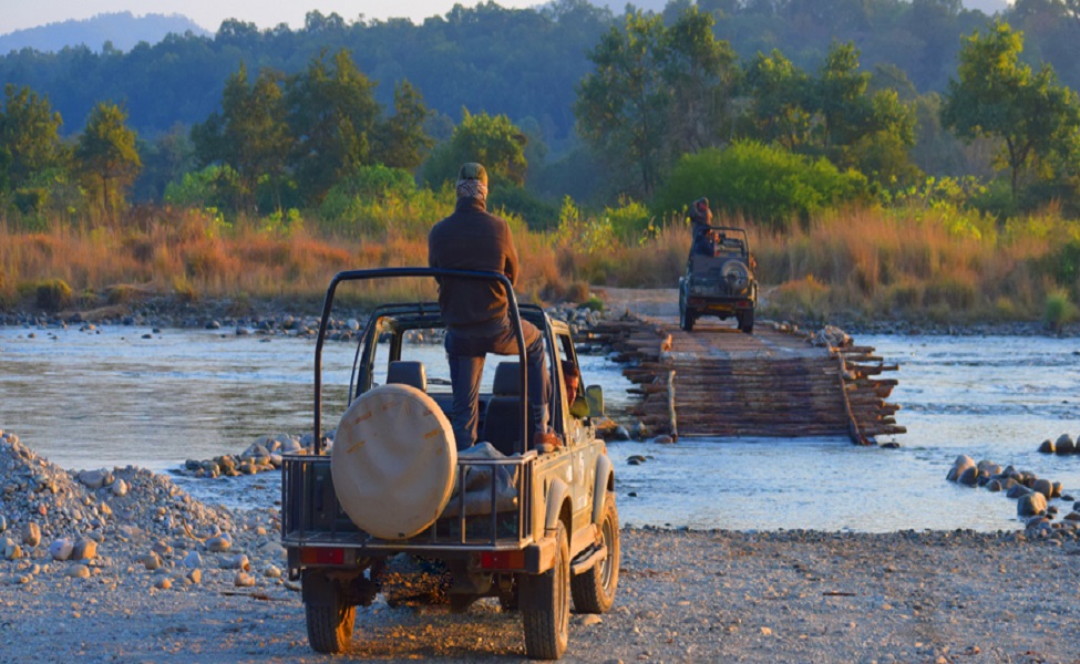 What to Pack for a Jim Corbett Jungle Safari